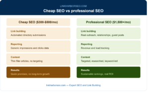 Side by side comparison of cheap SEO and professional SEO across five categories including link building, reporting, content, strategy, and results showing automated submissions versus real outreach and generic data versus revenue tracking